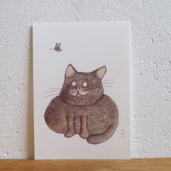 Flugtier mit Kater