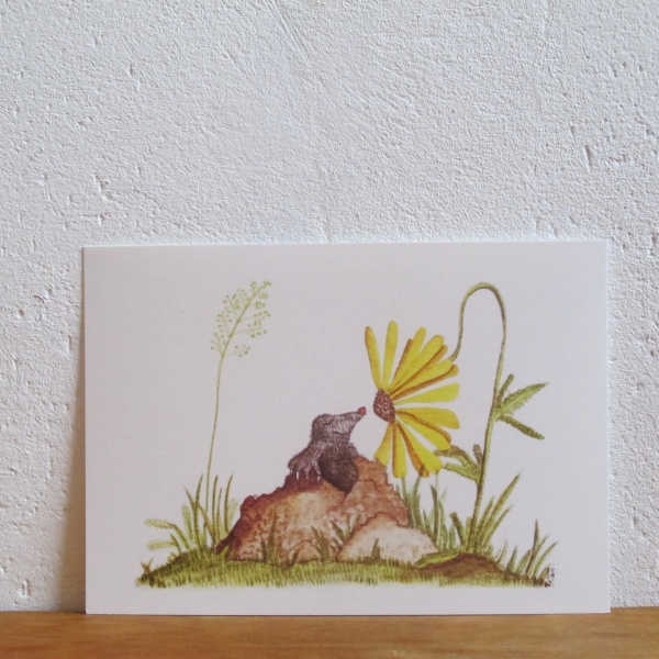 Blume und Maulwurf