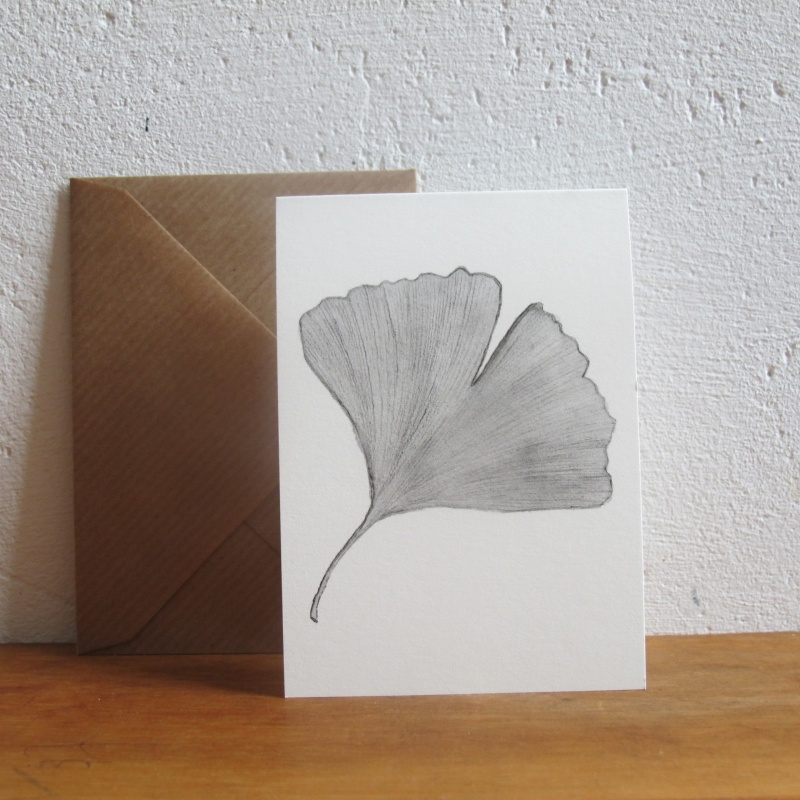 Graues Ginkgo-Blatt , naturgetreu gezeichnet