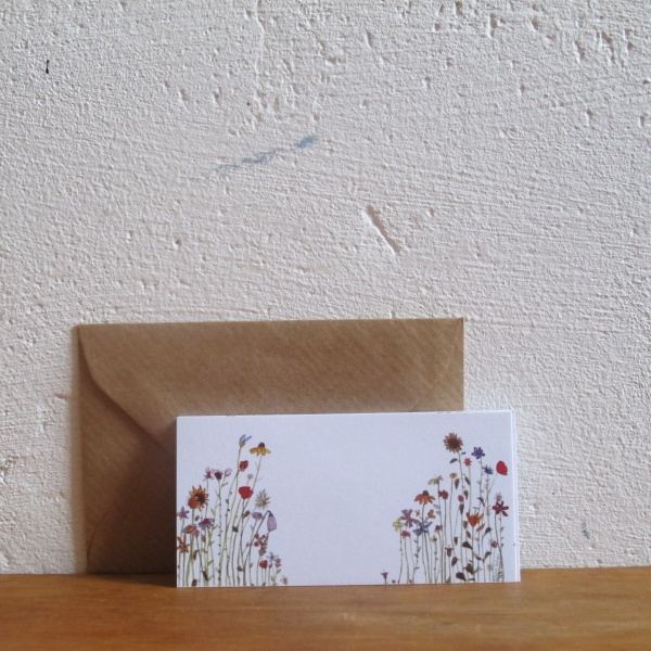 Eine Sorte - Wildblumenwiese